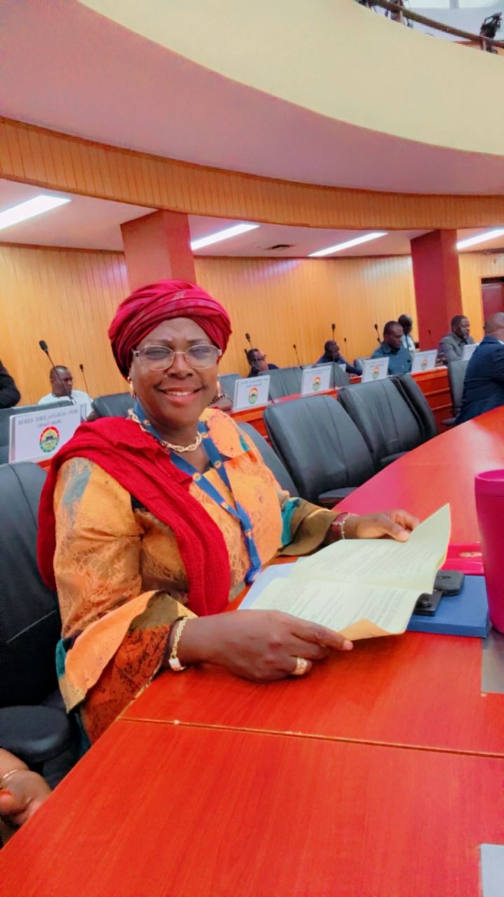 Hon. Zuwera Mohammed Ibrahimah commends Minority Chief Whip’s insightful statement